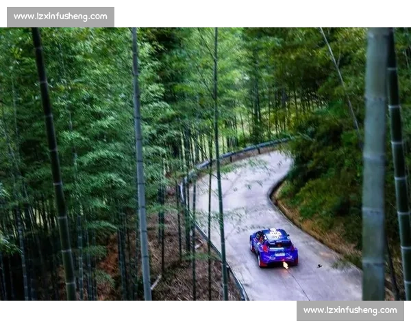 拉力巅峰对决开启，徐俊龙游赛道一马当先
